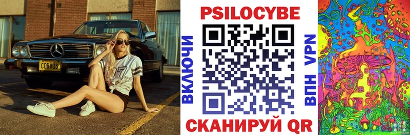 Галлюциногенные грибы Psilocybe  Ермолино 